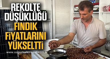 Rekolte düşüklüğü fındık fiyatlarını yükseltti