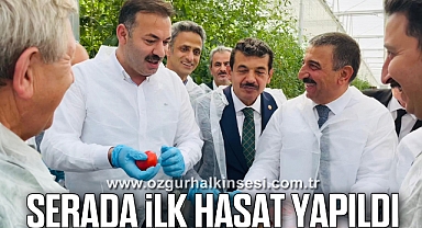 SERADA İLK HASAT YAPILDI