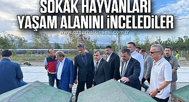 SOKAK HAYVANLARI YAŞAM ALANINI İNCELEDİLER 