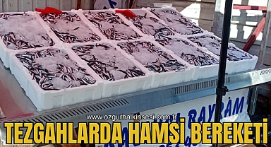 TEZGAHLARDA HAMSİ BEREKETİ