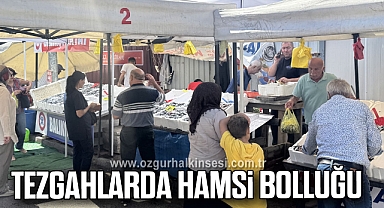 Tezgahlarda hamsi bolluğu