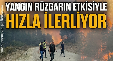 Yangın rüzgarın etkisiyle hızla ilerliyor