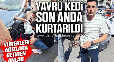 Yürekleri Ağızlara Getiren Anlar: Yavru Kedi Son Anda Kurtarıldı