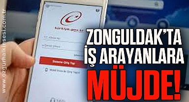 Zonguldak'ta İş Fırsatı