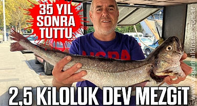 2,5 KİLOLUK DEV MEZGİT