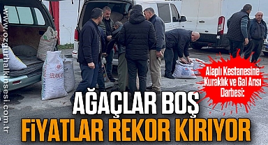 Ağaçlar Boş, Fiyatlar Rekor Kırıyor 