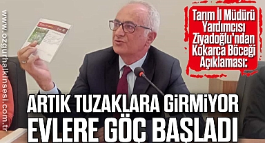 'Artık Tuzaklara Girmiyor, Evlere Göç Başladı'