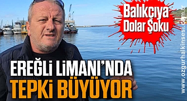 Balıkçıya Dolar Şoku: Ereğli Limanı’nda Tepki Büyüyor