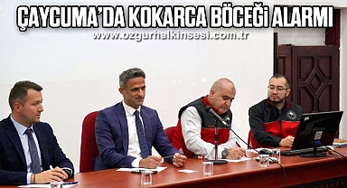  Çaycuma’da Kokarca Böceği Alarmı
