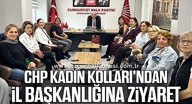 CHP Kadın Kolları'ndan İl Başkanlığına ziyaret