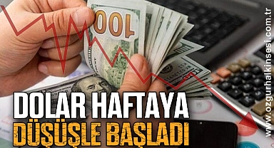 Dolar haftaya düşüşle başladı