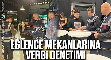 Eğlence mekanlarına vergi denetimi