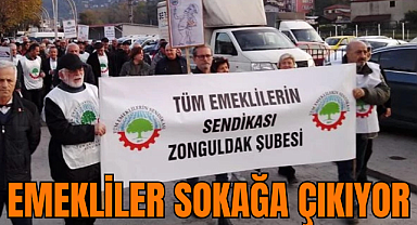 Emekliler Adalet ve İnsanca Yaşam İçin Sokağa Çıkıyor