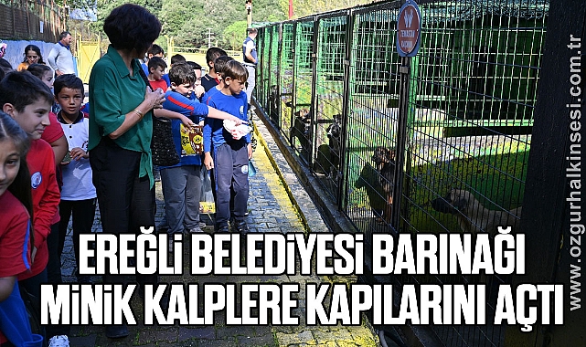 EREĞLİ BELEDİYESİ BARINAĞI, MİNİK KALPLERE KAPILARINI AÇTI
