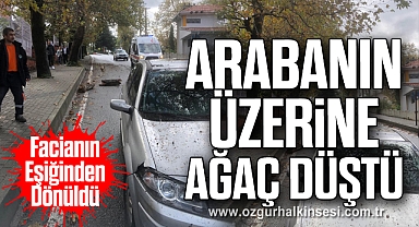 Facianın Eşiğinden Dönüldü: Arabanın Üzerine Ağaç Düştü