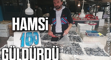 HAMSİ 100 GÜLDÜRDÜ