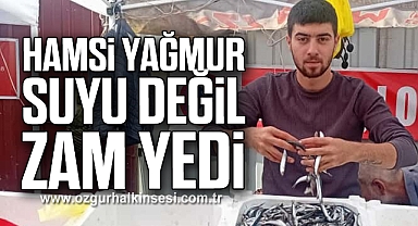 HAMSİ YAĞMUR SUYU DEĞİL, ZAM YEDİ