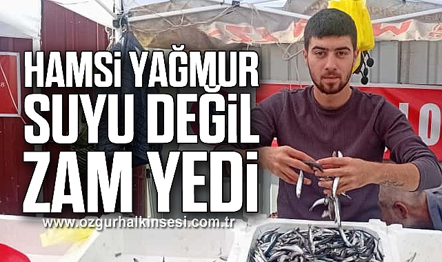 HAMSİ YAĞMUR SUYU DEĞİL, ZAM YEDİ