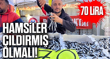 HAMSİLER ÇILDIRMIŞ OLMALI!