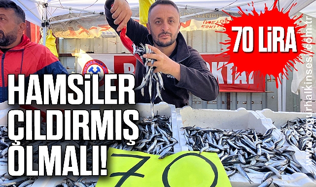 HAMSİLER ÇILDIRMIŞ OLMALI!