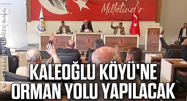 Kaleoğlu Köyü'ne Orman Yolu Yapılacak 