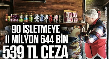 Kastamonu’da 9 ayda 90 işletmeye 11 milyon 644 bin 539 TL ceza
