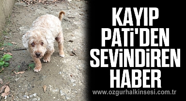 KAYIP PATİ'DEN SEVİNDİREN HABER 