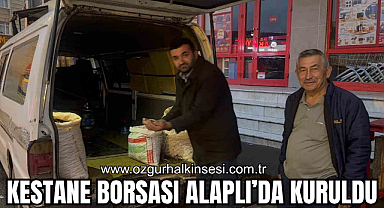 KESTANE BORSASI ALAPLI'DA KURULDU