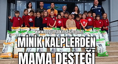 MİNİK KALPLERDEN MAMA DESTEĞİ