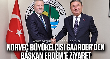 Norveç Büyükelçisi Gaarder'den Başkan Erdem’e Ziyaret