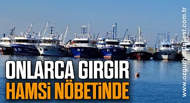 ONLARCA GIRGIR HAMSİ NÖBETİNDE