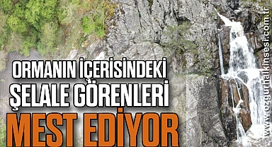 Ormanın içerisindeki şelale görenleri mest ediyor