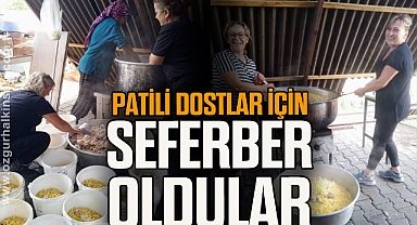 PATİLİ DOSTLAR İÇİN SEFERBER OLDULAR