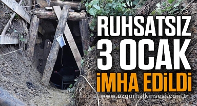 Ruhsatsız 3 Ocak İmha Edildi