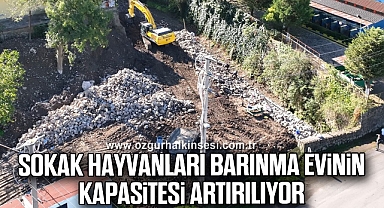 SOKAK HAYVANLARI BARINMA EVİNİN KAPASİTESİ ARTIRILIYOR