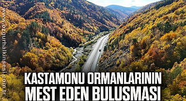 Sonbaharla Kastamonu ormanlarının mest eden buluşması