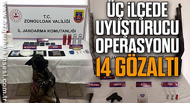 ÜÇ İLÇEDE UYUŞTURUCU OPERASYONU: 14 GÖZALTI