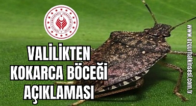 Valilikten Kokarca Böceği Açıklaması