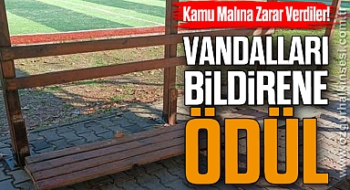Vandalları Bildirene Ödül