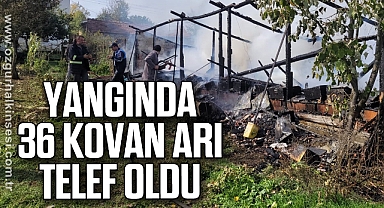 Yangında 36 kovan arı telef oldu