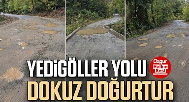 Yedigöller Yolu Dokuz Doğurtur