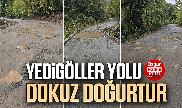 Yedigöller Yolu Dokuz Doğurtur