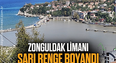 Zonguldak Limanı sarı renge boyandı