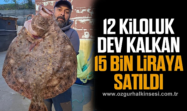 12 KİLOLUK DEV KALKAN 15 BİN LİRAYA SATILDI