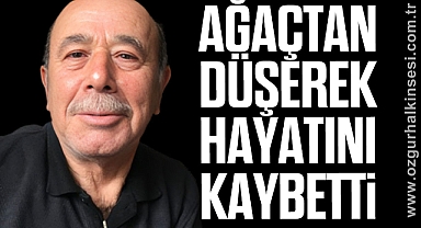 AĞAÇTAN DÜŞEREK HAYATINI KAYBETTİ 