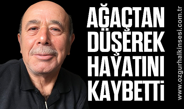 AĞAÇTAN DÜŞEREK HAYATINI KAYBETTİ 