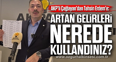 Artan Gelirleri Nerede Kullandınız?