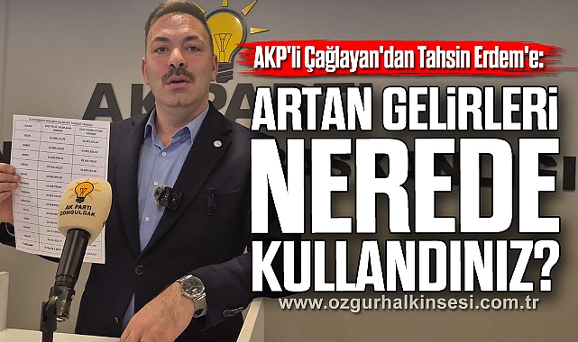 Artan Gelirleri Nerede Kullandınız?