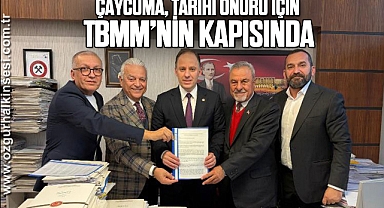 Çaycuma, Tarihî Onuru İçin TBMM’nin Kapısında