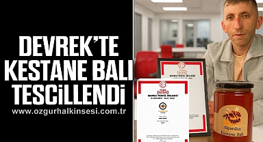 Devrek’te kestane balı tescillendi
